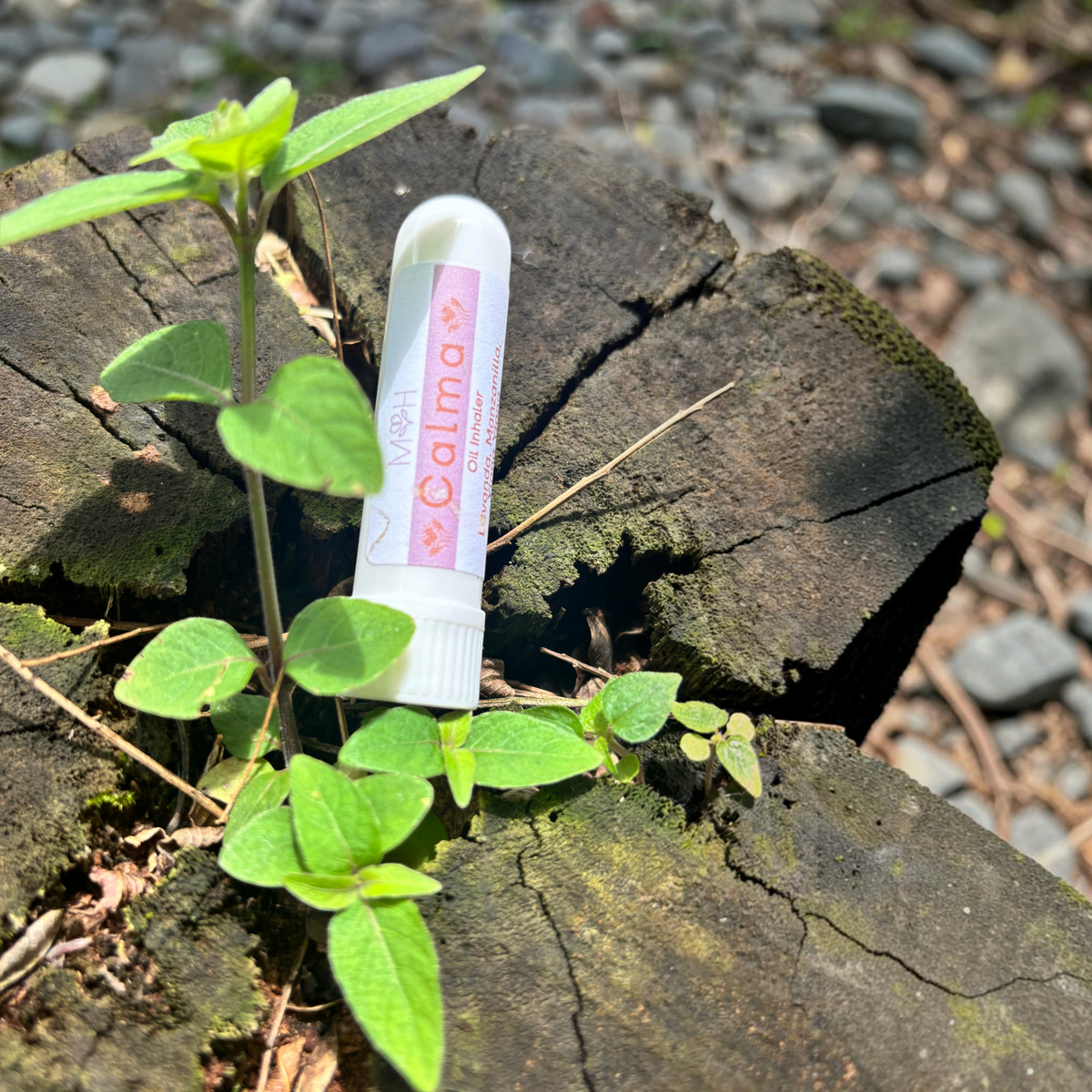 Inhalador aromático Mayam Holistic Calma con aceites de lavanda y manzanilla sobre un tronco de madera con plantas