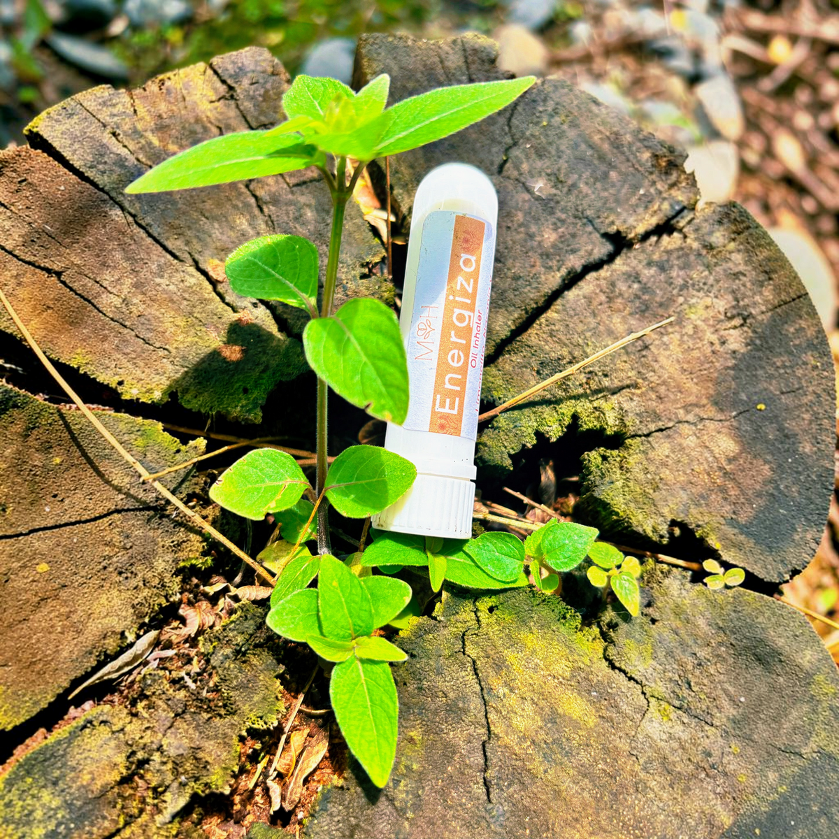 Inhalador aromático Energiza de Mayam Holistic con aceites esenciales cítricos sobre un tronco de árbol con planta