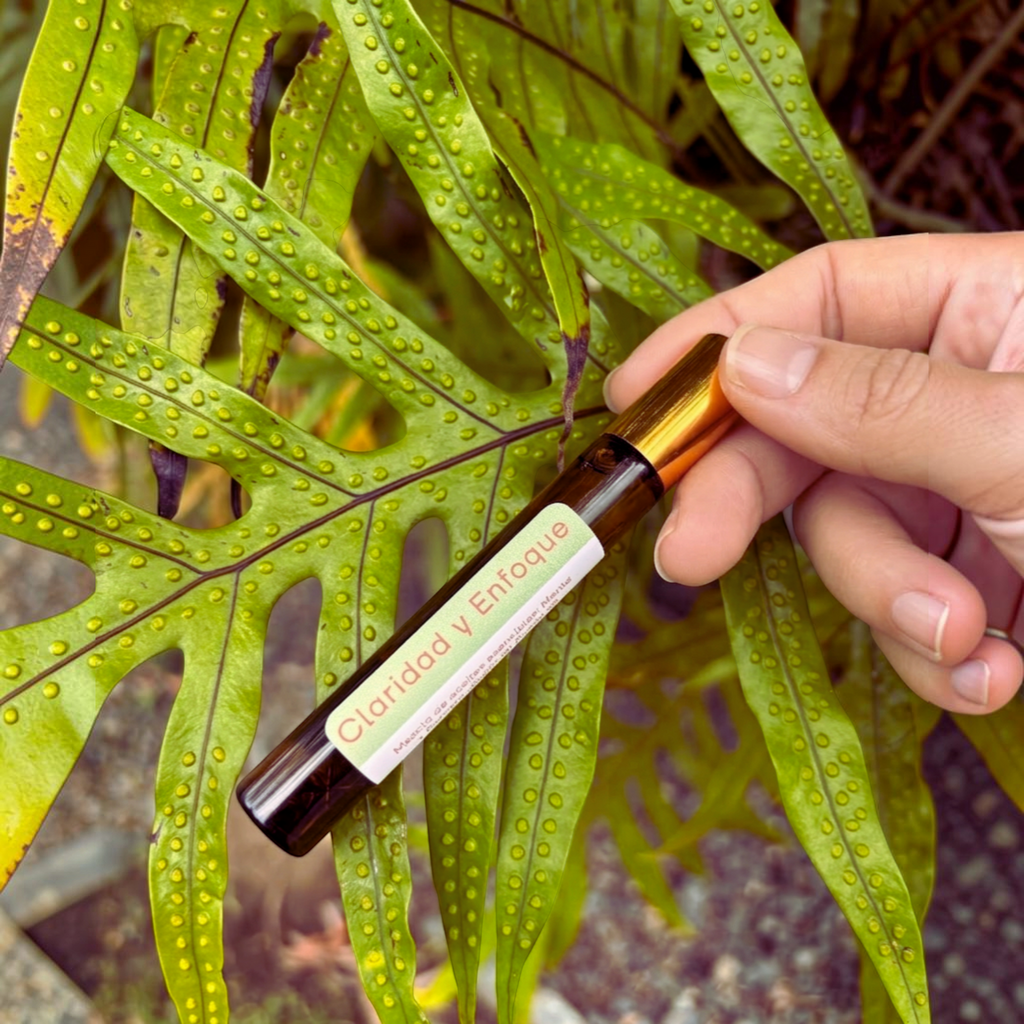Roll-on de aceites esenciales Mayam Holistic Claridad y Enfoque con romero y menta sostenido sobre una hoja verde